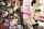 Tae Nishino