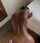 interracial after shower ebony