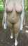 saggy tits big areola big tits