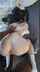 teen blonde snowbunny