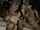 lesbian kissing cowgirl