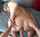 anal blond ass