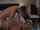 blonde camgirl pornad