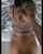 backshots doggystyle brunette