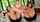 lesbian nicole doshi jennie rose