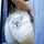 camgirl webcam where