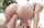 blonde anal hardcore