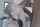 blonde interracial coco lovelock