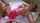 cory chase sleepwalking stepmom