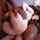 jodi taylor bbc anal