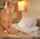 blonde mature stepmom