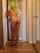 delivery nude coyote