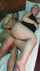mom milf cougar