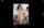 amateur camgirl latin