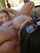 lesbian girl on girl cunnilingus