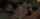 japanese jav gravure