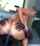 riding blonde bbc