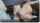 tattoo camgirl amateur