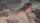 hotwife shared mfm