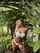 tits teen bikini
