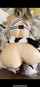 white bbc wet