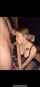blonde blowjob stoking