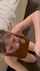 blowjob big ass big tits