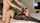 teen blonde doggy