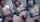 jav adult video