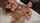 corbin fisher double dildo prostate