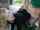 blonde teen public