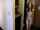 strip dress petite
