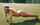 push ups exercise blonde