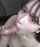 japanese blowjob cute