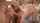 pornstar model adult
