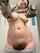 hairy pussy unshaved hirsute