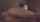camgirl teen pussy
