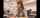 jav harem milf