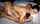 pornstar model adult