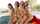 pornstar model adult
