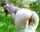 amateur outdoor tanya