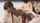 japanese outdoor jav
