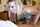 blonde blond blowjob