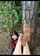 russian teen hairy