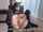 camgirl amateur masturbating