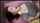porn ad asian girl pornography