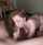 big tits blowjob redhead