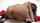 heels anal creampie