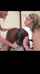 black bbc interracial