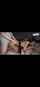 hot black hair anal